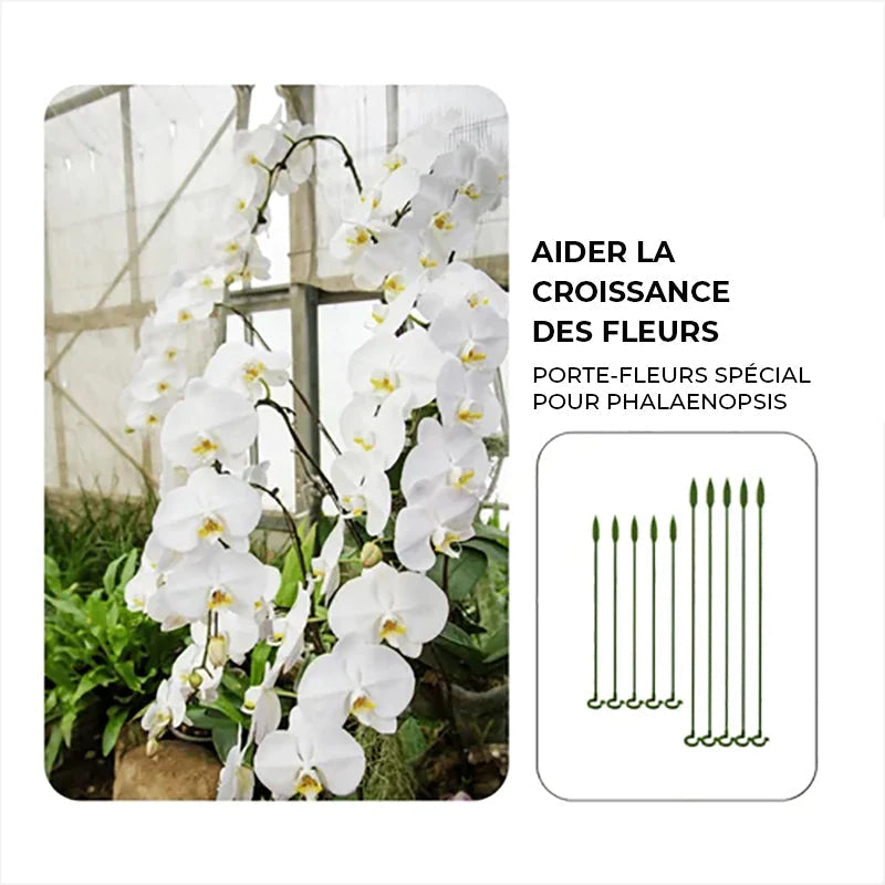 Poteau de soutien des plantes (10 pièces)