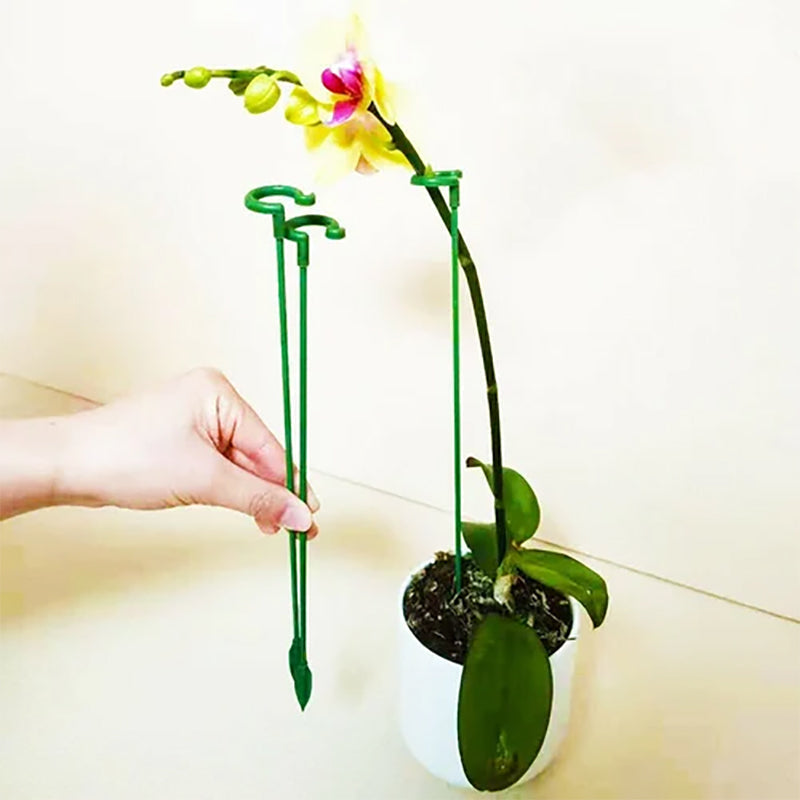 Poteau de soutien des plantes (10 pièces)
