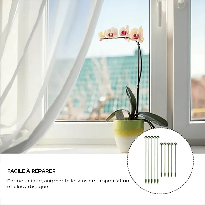 Poteau de soutien des plantes (10 pièces)