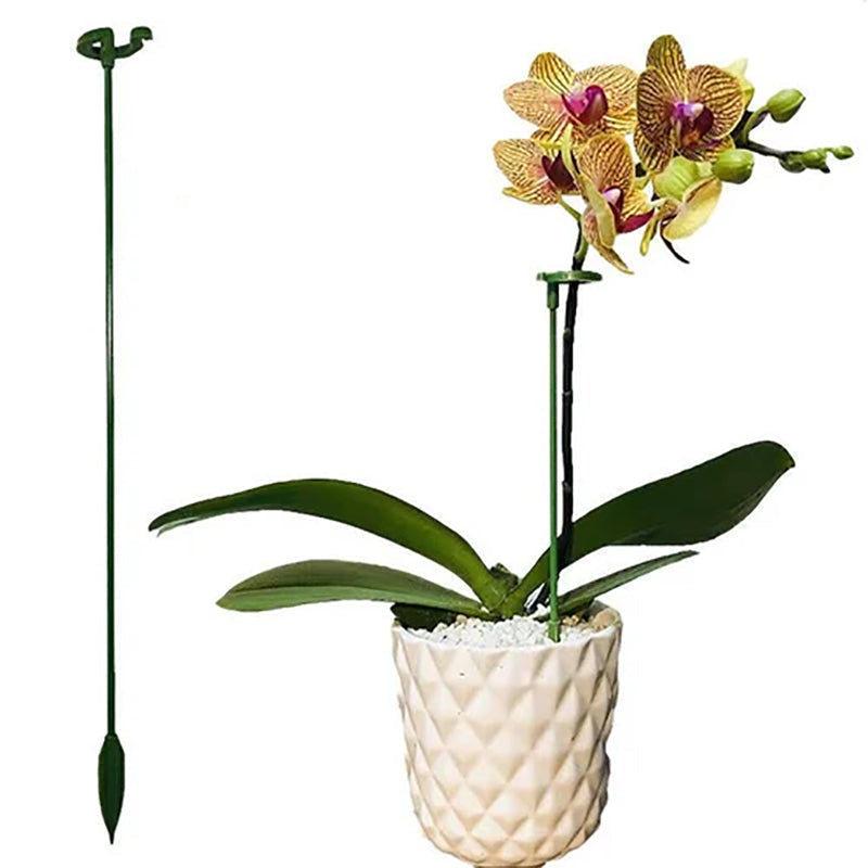Poteau de soutien des plantes (10 pièces)