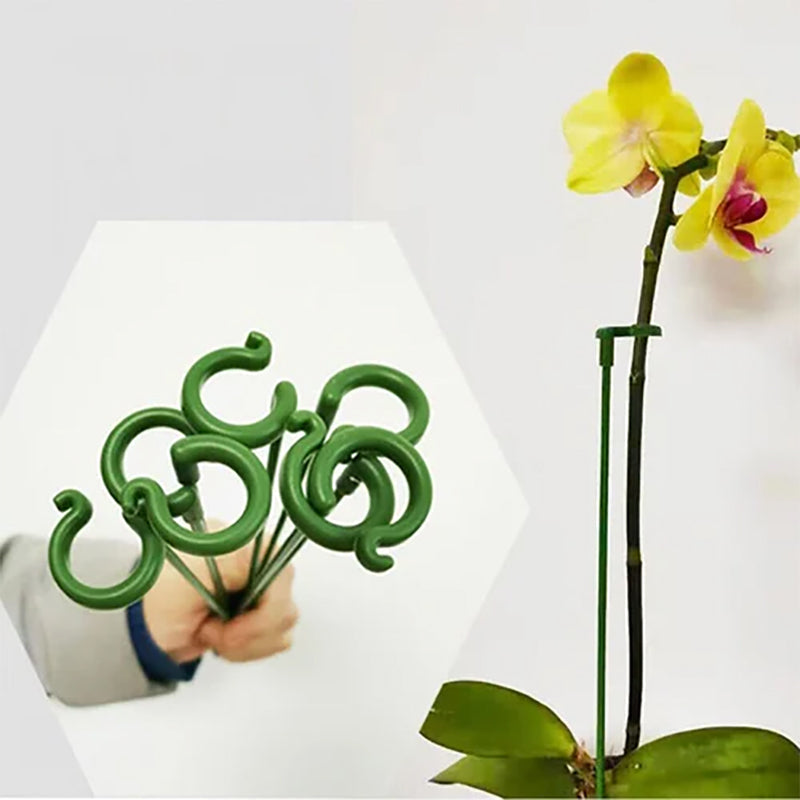 Poteau de soutien des plantes (10 pièces)