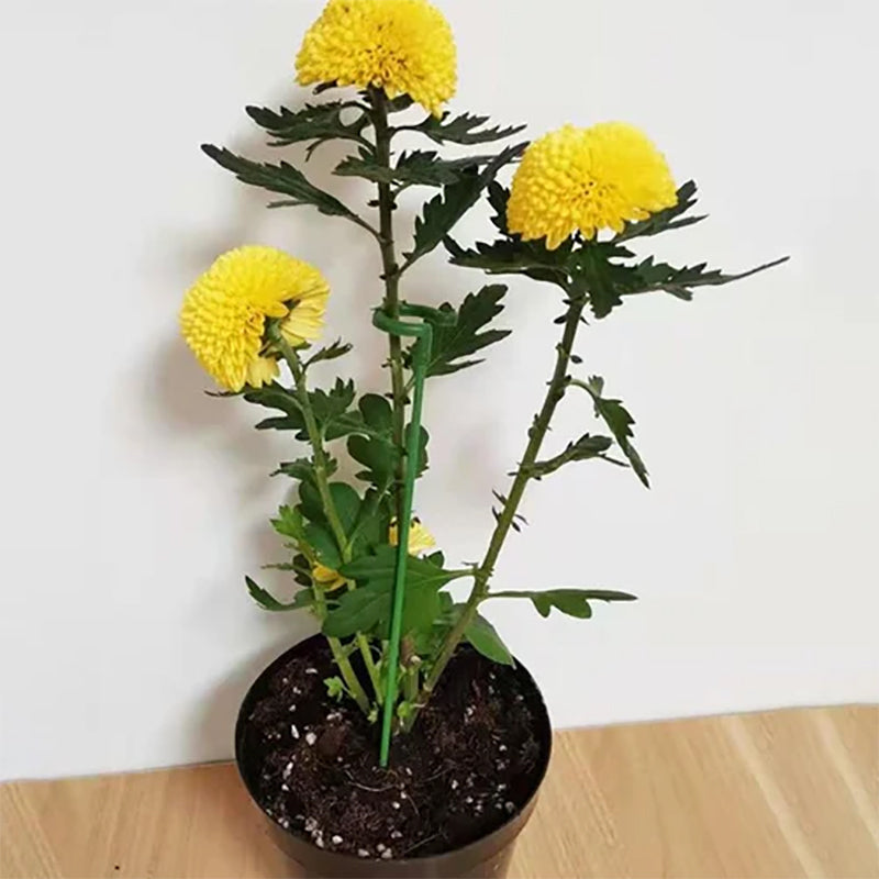 Poteau de soutien des plantes (10 pièces)