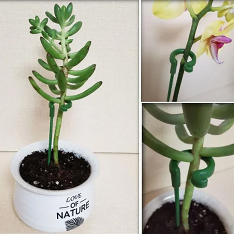 Poteau de soutien des plantes (10 pièces)