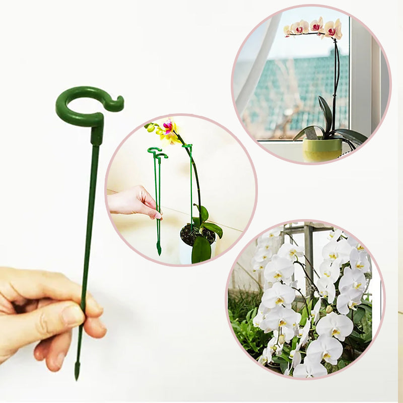Poteau de soutien des plantes (10 pièces)